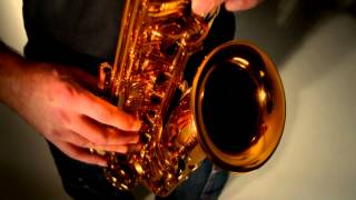 NuTube Mark HauserSaxophone Selmer Reference  Hausertone Endorsement [upl. by Jamnis]