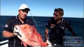 Fishing Western Australia Series 13 Episode 1 Part 1  Kalbarri [upl. by Ydisahc]