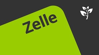 Zellen und Zellformen  Biologie  Cytologie [upl. by O'Rourke102]