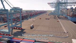 Welcome to APM Terminals Maasvlakte II [upl. by Kahle278]