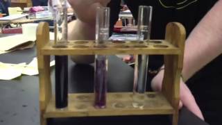 Ferric Chloride Test [upl. by Colburn972]