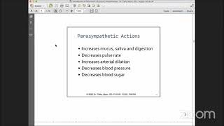 Introduction to Optometric Syntonic Phototherapy [upl. by Eidnyl]