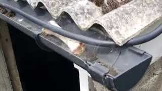 FLAT ROOF LEAK REPAIR  Repairing a rubber roof leak very simple and easy and fast GAME CHANGER [upl. by Rehptsirhc]