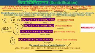 ডিনাইট্রিফিকেশন Denitrification for class X XII [upl. by Perl]