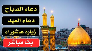 دعاء الصباح  دعاء العهد  زيارة عاشوراء بث مباشر من كربلاء المقدسة karbala live [upl. by Inahc]