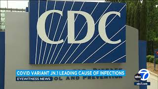 COVID JN1 variant now leading cause of infections in United States CDC says [upl. by Nylaehs511]