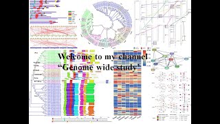 Genome wide study Part 02  Data Extraction and protein domains analysis or Motif analysis [upl. by Ariamat]