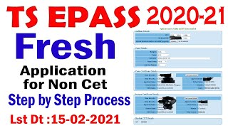 ts epass 2020 fresh application for Non Cet students  ts epass 2020 fresh application [upl. by Ynnavoig]