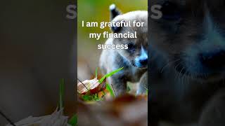 Rewire for Wealth  Abundance Affirmations That Work [upl. by Aicilanna]