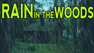 🎧 RAIN SOUNDS IN THE WOODS  Ambient Noise For Sleep Relaxation and Studying  Ultizzz day9 [upl. by Ennairam]