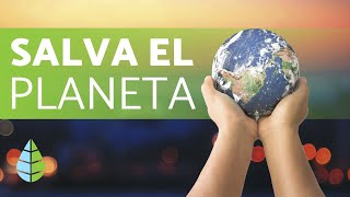 Cómo CUIDAR el MEDIO AMBIENTE ♻️ 5 TIPS ¡DEFINITIVOS [upl. by Fenny]