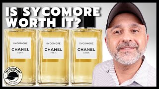 IS CHANEL SYCOMORE WORTH OWNING Your Question Answered  Chanel Sycomore Alternatives [upl. by Idden350]