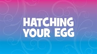 Hatchimals  How To Play With Your Hatchimals  Hatching Your Egg [upl. by Nnyl]