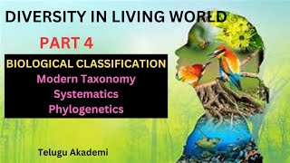 Diversity in living worldPart 4 biologicalclassification taxonomy phylylogentics systematics [upl. by Gabbie]