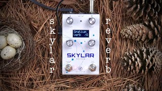 GFI System Skylar Reverb Demo  All Settings  No Talking  STEREO [upl. by Ellatnahc]