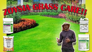 How To Care For Zoysia Grass Full Guide Fertilizer  Mowing  Watering  Pest  Fungus  Weeds [upl. by Anissej]