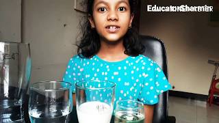 STEM Miscible and immiscible Liquids Science EducatorSharmin [upl. by Asert]