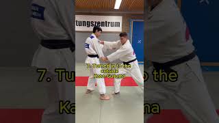 13 Judo throws in 30 seconds judo judomma sambo [upl. by Ydnes]