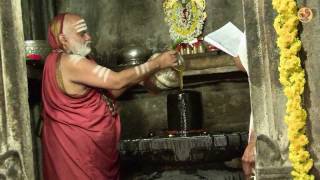 A Historic Event  Vidyashankara Temple Kumbhabhishekam [upl. by Otti]