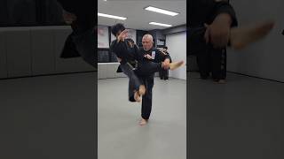 Strikingly Okuri barai shorts Koreanmartialarts GongkwonYusul [upl. by Llevra]