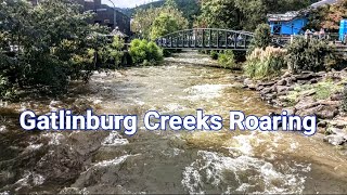 Gatlinburg Creeks High from Hurricane [upl. by Annoit850]