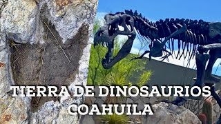 Coahuila Tierra de Dinosaurios En búsqueda de huellas y fósiles en el desierto [upl. by Agnew170]