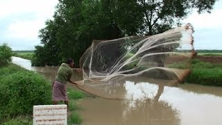 Traditional Cast Net Fishing in RainSwollen Rice Paddy Stream  Suong Cambodia [upl. by Eeladnerb]