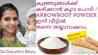 koova podi making malayalam കൂവ പൊടി Preparation  recipe ARROWROOT POWDER  Baby Food  Benefits [upl. by Aynodal]