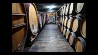 Los 10 mejores vinos del mundo [upl. by Olraced]