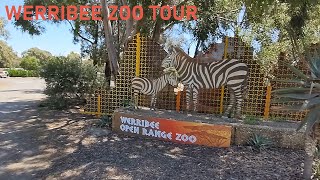 Werribee Open Range Zoo Tour  Victoria Australia [upl. by Yasnyl]