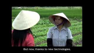 Ngo Thi Nhieu Vietnam  Farmer Profile [upl. by Leftwich]