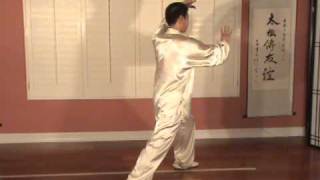 Yang Style Tai Chi Long Form 108 Taiji 2 [upl. by Adyeren306]