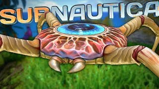 SURVIVOR RENDEZVOUS POINT  Subnautica Full Release 3 [upl. by Nylzor]