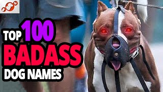 🐕 TOP 100 Badass Dog Names For Male [upl. by Sherrard195]