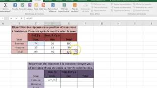 Excel 2016 FR  erreur DIV0 exemple vidéo [upl. by Llenral300]