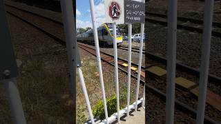 NGR 773 passing zillmere up north to caboolture [upl. by Godiva]