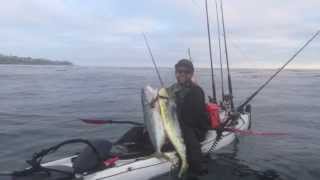 San Diego Kayak Fishing Dorado [upl. by Kiki]