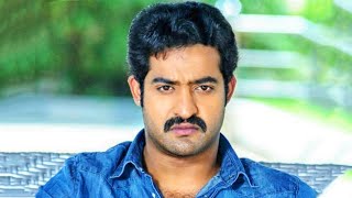 Dhammu l Jr NTR l Blockbuster Action Hindi Dubbed Movie l Trisha Krishnan Karthika Nair [upl. by Nnyre]