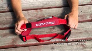 EzyDog QuickFit Dog Harness  Simple Support [upl. by Nylatsirhc]