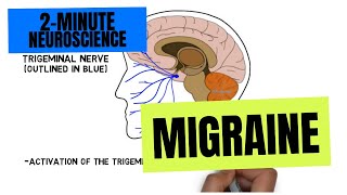 2Minute Neuroscience Migraine [upl. by Youngman531]