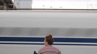 Shinkansen flying through station [upl. by Erma]