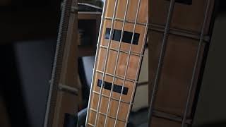 Fender American Deluxe Jazz Bass 5 string [upl. by Nnovahs126]