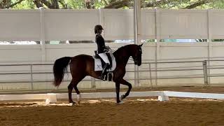 Second Level Dressage Musical Freestyle Carolina Blanton amp Stradivarius CB [upl. by Nidnerb]