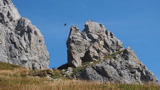 Bregenzerwald Bike und Hike Hochkünzelspitze von Schröcken Landsteg aus über die Biberacher Hütte [upl. by Kandy72]