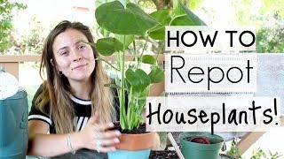 How To Repot Houseplants  Repotting Houseplants [upl. by Sulecram]