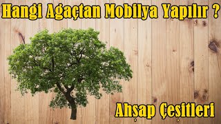 Ağaç Çeşitleri  Mobilya Yaparken Hangi Ağaçlar Kullanılmalı  Ahşap Mobilya Hangi Ağaçtan Yapılır [upl. by Josefina]