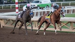 BREEDERS CUP CLASSIC 2016  ARROGATE  FULL STORY [upl. by Duong329]