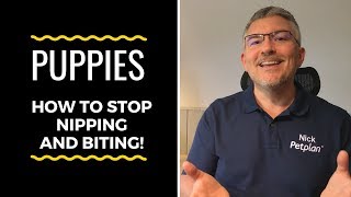 How to stop dog from nipping when excited [upl. by Gingras]