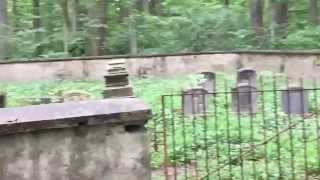 Merryman Cemetery in the Ghost Town of Warren HD UNCUT [upl. by Lise]