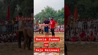 Kushti Bania Jammu vs Raju Raiyewal Kushti hatt jodi bimpalsingh jknewsinfo Bimpalsingh [upl. by Varney550]